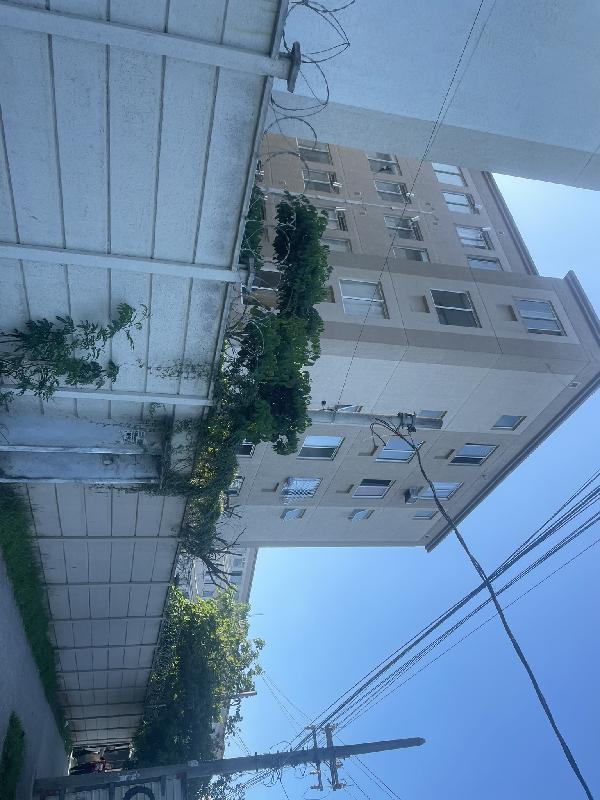 Apartamento no Jardim dos Ipes I