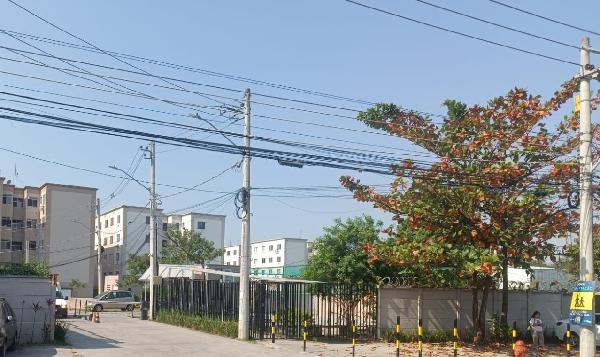 Apartamento no Esplendor I